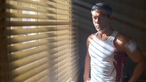 Echoes of the Past Bild 1