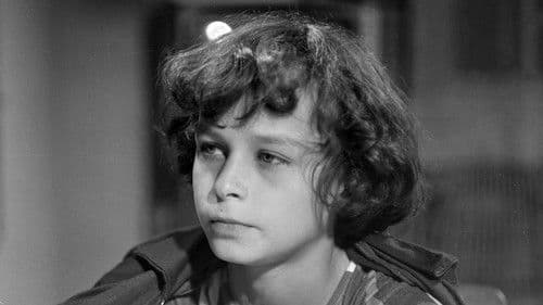 Bílí jeleni Bild 1