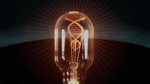 The Atheist Delusion Bild 1