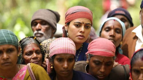 கழுகு 2 Bild 3