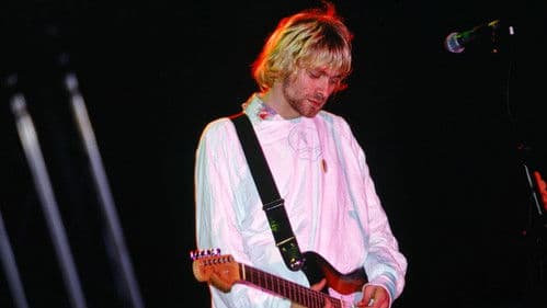 Nirvana: Live at Reading Bild 6