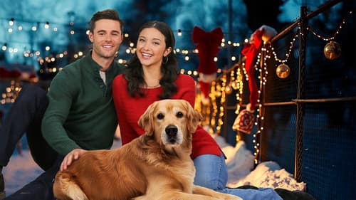 Weihnachtsglück mit Herz & Hund Bild 1