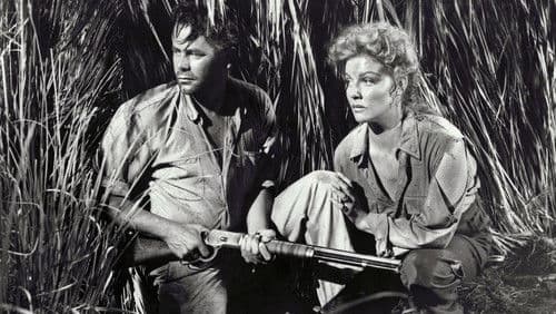 Treffpunkt Honduras Bild 2