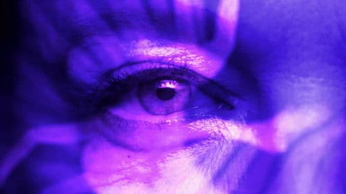 Brainwashed - Sexismus im Kino Bild 5