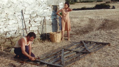 A Sombra dos Abutres Bild 4