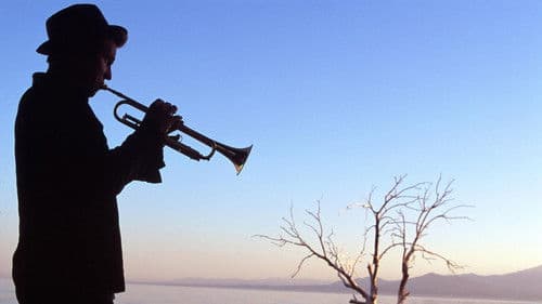 The Salton Sea - Die Zeit der Rache Bild 6