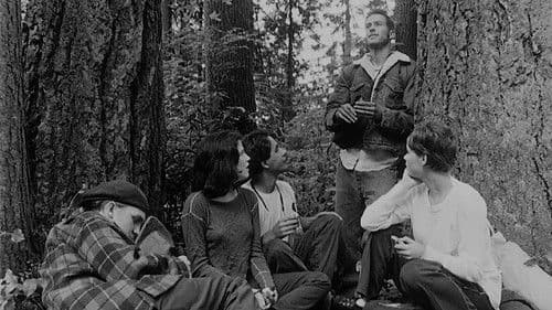 Drawing Flies Bild 4