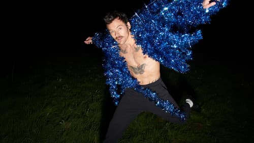 Harry Styles. One Night in Manchester. Bild 7