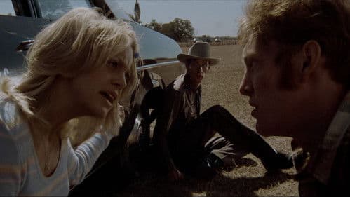 Sugarland Express Bild 2