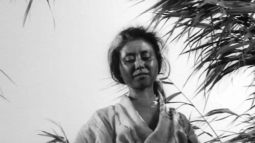 Onibaba - Die Töterinnen Bild 8