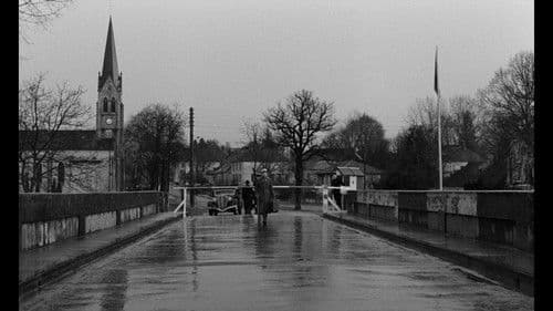 Die Demarkationslinie Bild 5