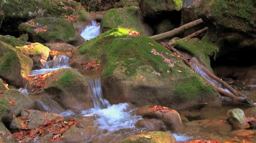 BluScenes: Majestic Waterfalls Bild 5