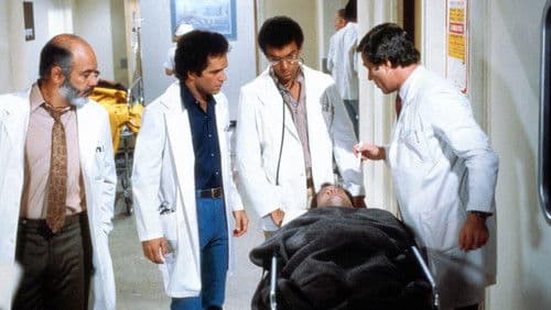 Trapper John, M.D. Bild 5