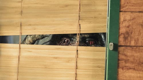 Critters Attack! Bild 5