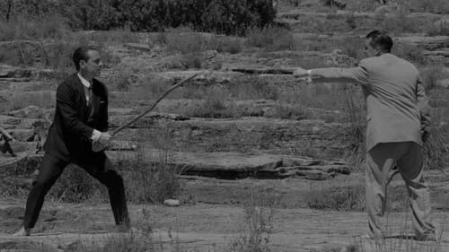 17 dies de novembre Bild 2