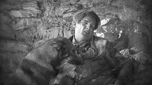 Clash of the Wolves Bild 4