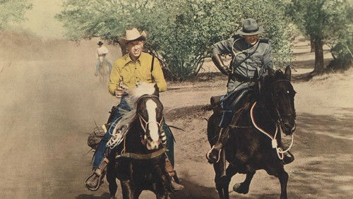 Border Saddlemates Bild 1