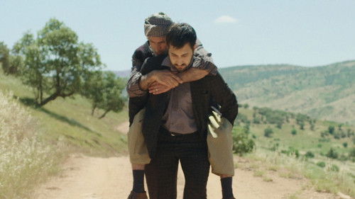 Haus ohne Dach Bild 1