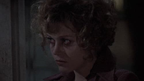 Nur Pferden gibt man den Gnadenschuss Bild 8