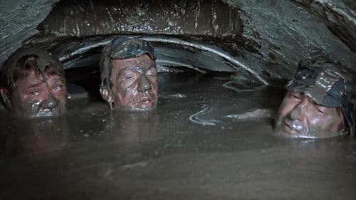 Gentlemen der Erfolge Bild 3