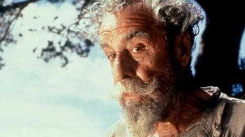 El Quijote desde la platea Bild 3