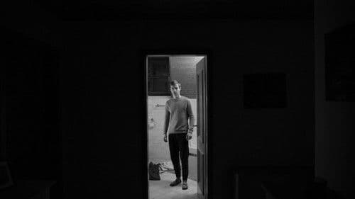 Lost In The Shadows Bild 3