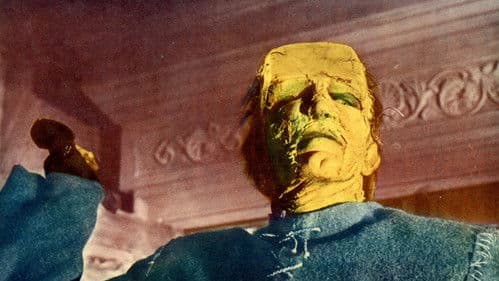 Frankensteins Ungeheuer Bild 6