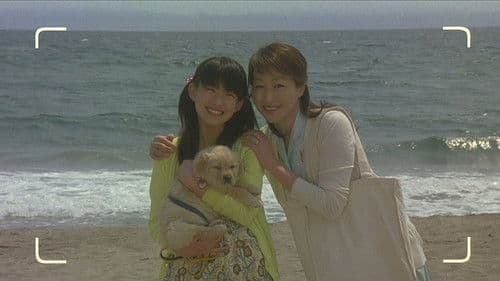 犬と私の10の約束 Bild 3