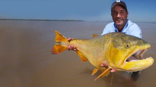 Monster Fish Bild 5