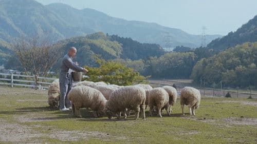 Crows Are White Bild 8