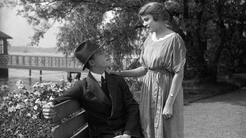 En vildfågel Bild 5