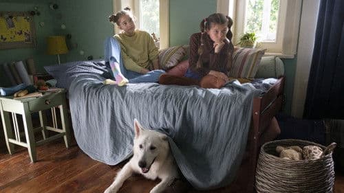 Lampo: Ein Vierbeiner auf Reisen Bild 6