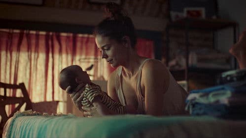 Cinco lobitos Bild 5