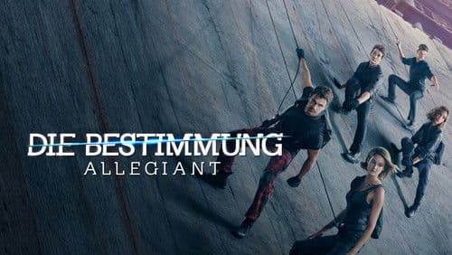 Die Bestimmung - Allegiant Bild 2