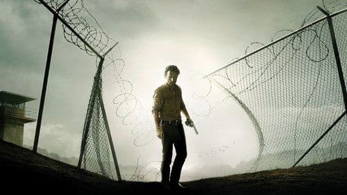 The Walking Dead Bild 8