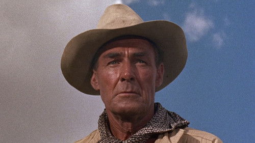 Um Kopf und Kragen Bild 4