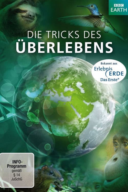 Die Tricks des Überlebens