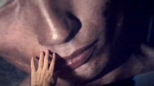 We Put the World to Sleep Bild 2