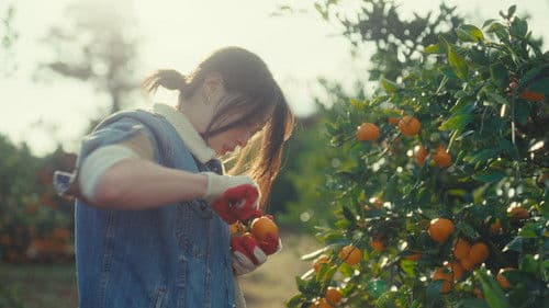 힘을 낼 시간 Bild 5