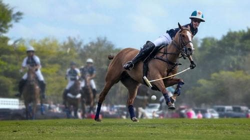 Polo Bild 1