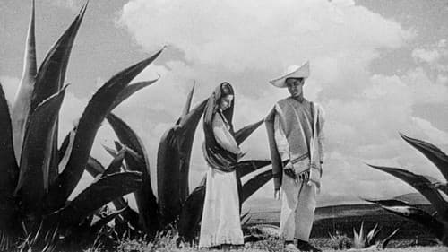 Time in the Sun Bild 1