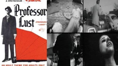 Professor Lust Bild 1