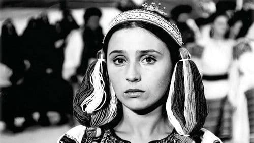 Rok na dedine Bild 2