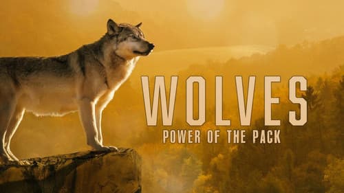 Wolves: Power of the Pack Bild 1