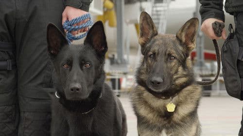 Jak to lítá na letišti Bild 1