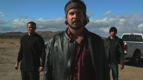 American Muscle Bild 1