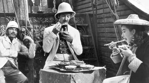 In 80 Tagen um die Welt Bild 1