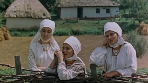 Пропала грамота Bild 5