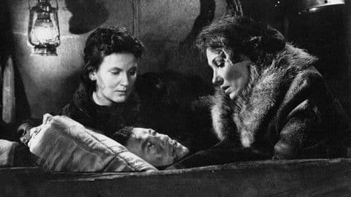 Nacht fiel über Gotenhafen Bild 1