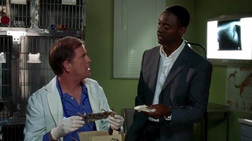 Wild Things 2 Bild 7